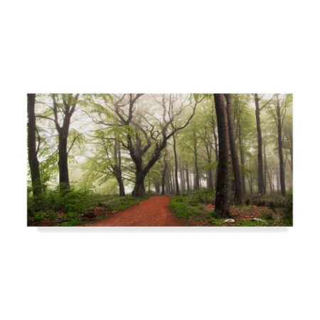 Leif Londal 'Follow The Red Path' Canvas Art,16x32